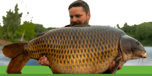 Guide complet : comment pêcher la carpe efficacement
