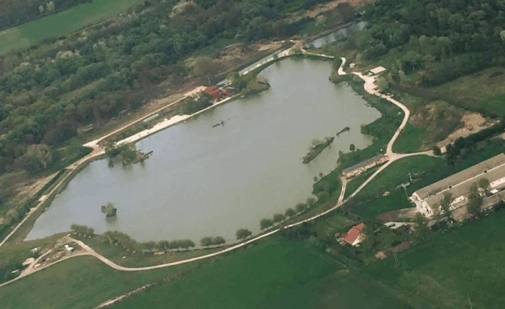 euro aqua carp