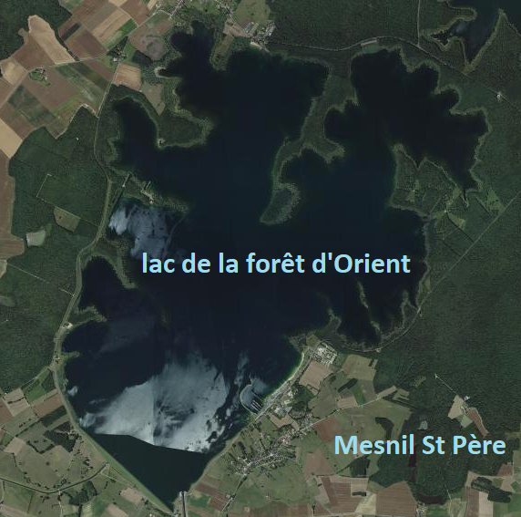 Foret d'orient