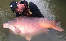 record carpe