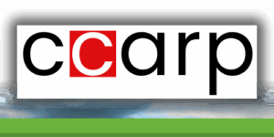 CCARP : une simplicité redoutable au service des carpistes
