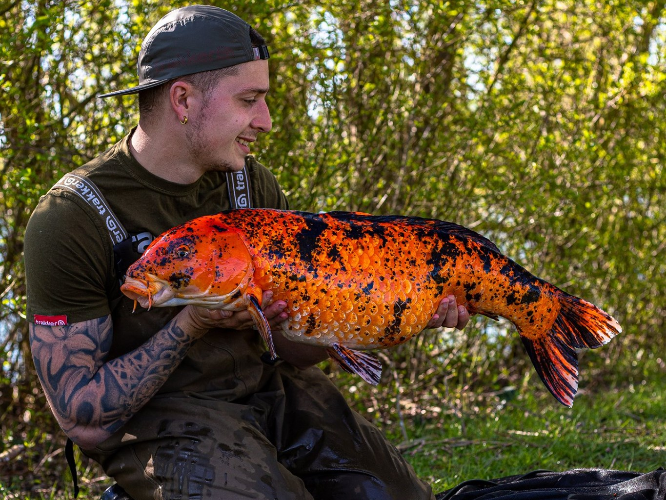 Carpe Koï orange noire