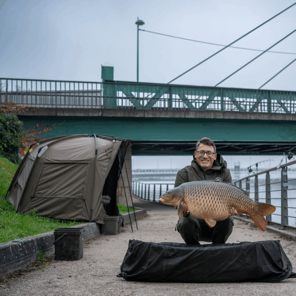 carpe en rivière