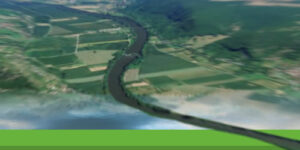 Pêcher la Carpe en Rivière : Techniques, Matériel, Montage et Conseils