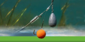 Montage carpe avec bouillette – Techniques & conseils