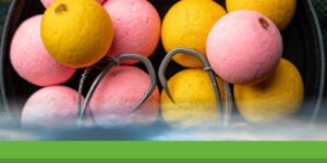 Amorce carpe : amorçage efficace, appâts et quantités