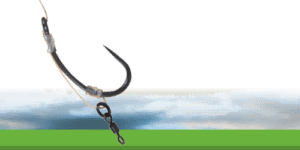 D-Rig carpe : montage fiable, réglages précis et piqûre nette