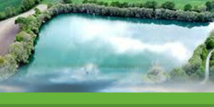 Pêcher la carpe en étang : techniques, postes et appâts