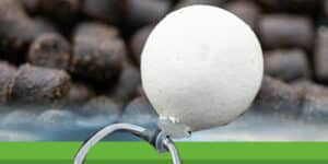 Quelle bouillette au printemps : choix, parfums, tailles