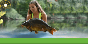 Pêcher la carpe en été : techniques, postes et appâts