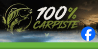 carp design